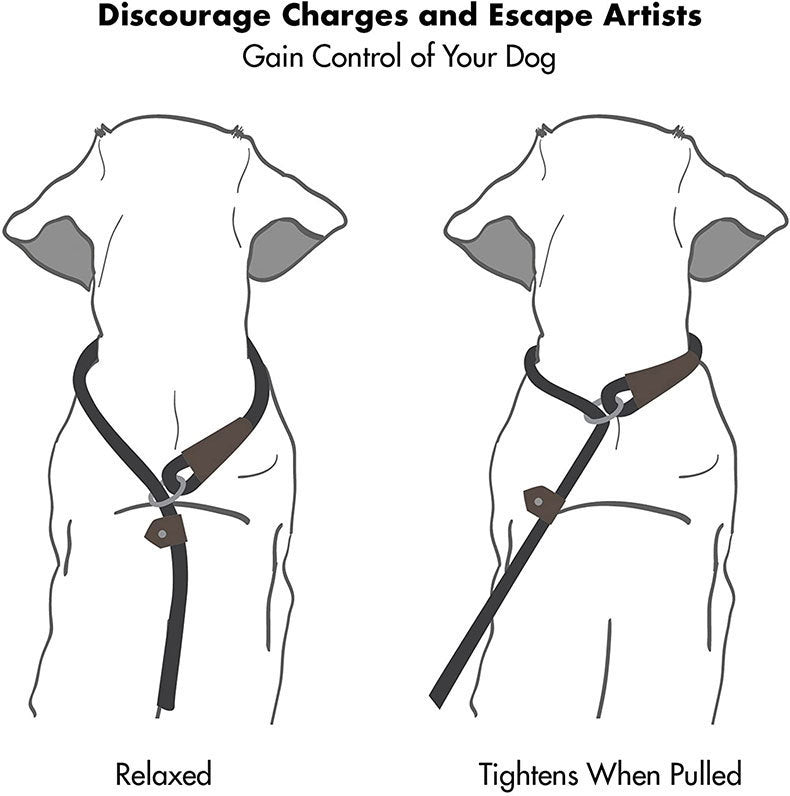 HKM-415379 Durable Nylon Tow Rope Dog Leash with Pull-Resistant Chain in Various Colors