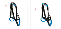 HKM-416083 Dog Hind Leg Support Harness - Adjustable Blue Auxiliary Belt for Walking
