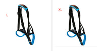 HKM-416083 Dog Hind Leg Support Harness - Adjustable Blue Auxiliary Belt for Walking