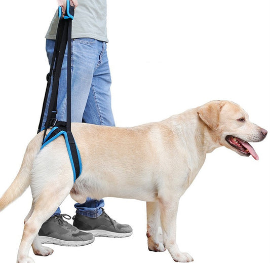 HKM-416083 Dog Hind Leg Support Harness - Adjustable Blue Auxiliary Belt for Walking
