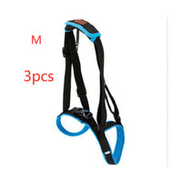 HKM-416083 Dog Hind Leg Support Harness - Adjustable Blue Auxiliary Belt for Walking