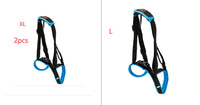 HKM-416083 Dog Hind Leg Support Harness - Adjustable Blue Auxiliary Belt for Walking