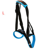 HKM-416083 Dog Hind Leg Support Harness - Adjustable Blue Auxiliary Belt for Walking