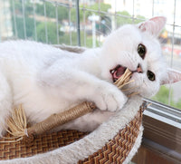 HKM-416339 Wooden Polygonum Molar Stick Cat Toy Tooth Cleaning Kitten Bite-resistant Catnip Teasing Snacks