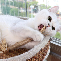 HKM-416339 Wooden Polygonum Molar Stick Cat Toy Tooth Cleaning Kitten Bite-resistant Catnip Teasing Snacks