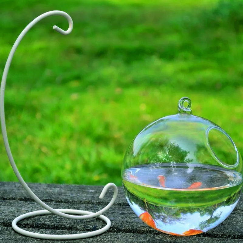 HKM-417555 Mini Hanging Glass Vase with Black or White Bracket - High Borosilicate Glass Fish Tank