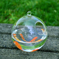 HKM-417555 Mini Hanging Glass Vase with Black or White Bracket - High Borosilicate Glass Fish Tank