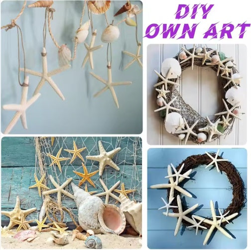 HKM-418003 15pcs Natural Starfish Hanging Ornaments, 2.3-4.3 Inch Decor for Home, Gift, Hotel, and Restaurant
