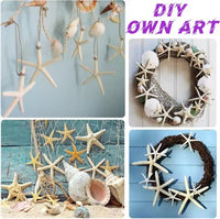 HKM-418003 15pcs Natural Starfish Hanging Ornaments, 2.3-4.3 Inch Decor for Home, Gift, Hotel, and Restaurant