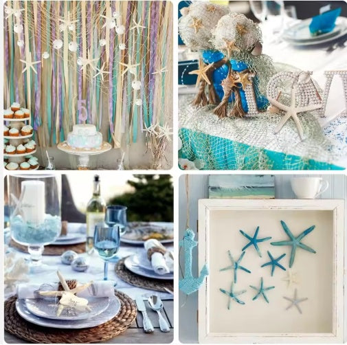 HKM-418003 15pcs Natural Starfish Hanging Ornaments, 2.3-4.3 Inch Decor for Home, Gift, Hotel, and Restaurant