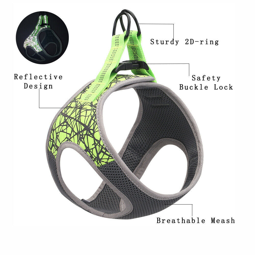 HKM-418387 Dog Leash Vest for Small to Extra Large Dogs - Adjustable Polyester and Nylon in Blue and Green