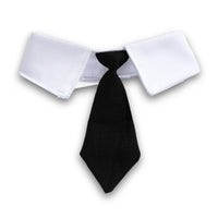 HKM-419027 Cat Gentleman Beret and Tie Photo Prop Set for Adult Cats