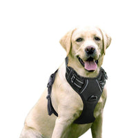 HKM-419219 Durable Polyester Fiber Dog Vest Harness for Medium and Large Breeds