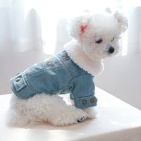 HKM-419347 Thick Denim Cotton Pet Coat with English Letter Design in Multiple Sizes