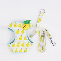 HKM-422675 Cute Fruit Cat Walking Rope with Anti-Breakaway Design in Pink, Green, and Yellow