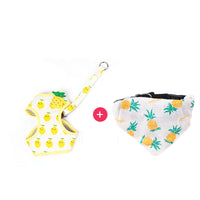 HKM-422675 Cute Fruit Cat Walking Rope with Anti-Breakaway Design in Pink, Green, and Yellow