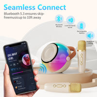 HKM-423187 Mini Karaoke Machine with Colorful Lights and Wireless Microphones