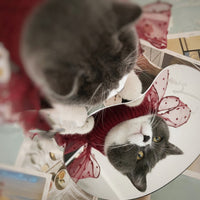 HKM-426195 Adorable Warm Sweater for Cats – Available in Wine Red and Beige, Perfect for Autumn and Winter