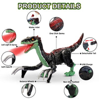 HKM-426579 Remote Control Walking Dinosaur Toy with Light, Sound, and Spray Features for Ages 5 and Up