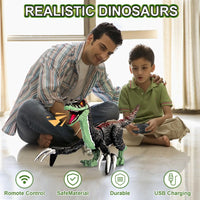 HKM-426579 Remote Control Walking Dinosaur Toy with Light, Sound, and Spray Features for Ages 5 and Up