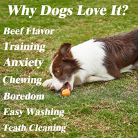 HKM-426771 Indestructible Dog Chew Bone with Real Beef Flavor - Safe, Non-Toxic Teething Toy for Aggressive Chewers of All Sizes