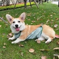 HKM-428691 Corgi Dudou Lightweight Waterproof Dog Raincoat with Belly Protection