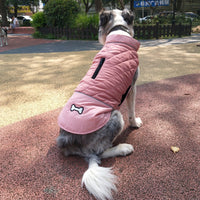 HKM-429715 Casual Dog Clothes for Autumn and Winter - Various Colors and Sizes