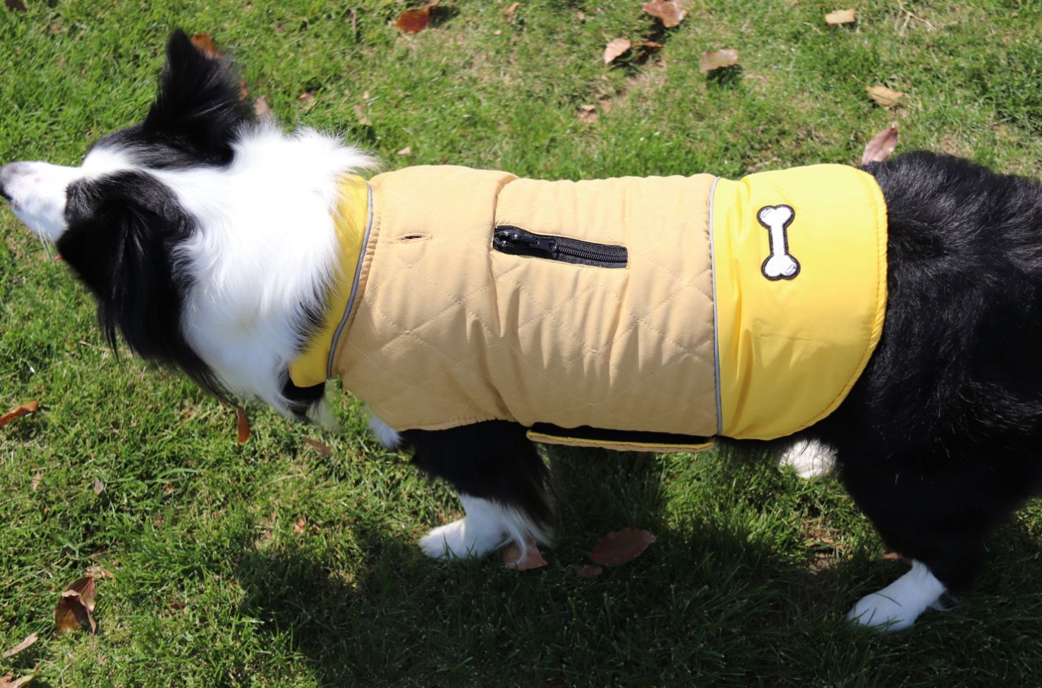 HKM-429715 Casual Dog Clothes for Autumn and Winter - Various Colors and Sizes