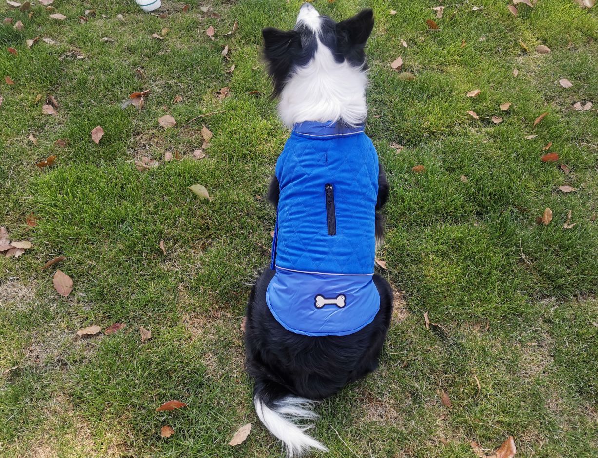 HKM-429715 Casual Dog Clothes for Autumn and Winter - Various Colors and Sizes
