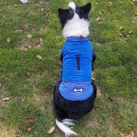 HKM-429715 Casual Dog Clothes for Autumn and Winter - Various Colors and Sizes