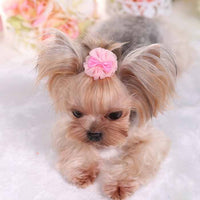 HKM-429907 Cute Organza Bubble Hairpin for Pets - Available in Pink, Green, Purple, and Blue