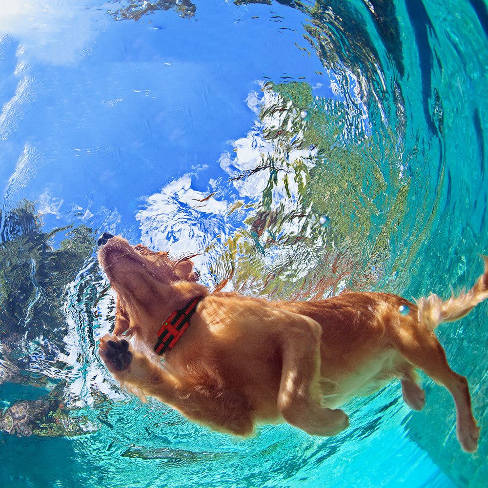HKM-432403 Remote Dog Trainer with Vibration, Sound, and Shock Functions - 500m Range, Rechargeable, Adjustable Collar