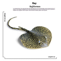HKM-433363 Marine Animal Model - Devil Fish/Ray Fish Educational Toy for Children