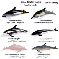 HKM-433363 Marine Animal Model - Devil Fish/Ray Fish Educational Toy for Children