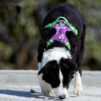 HKM-433875 Dog Traction Chest Strap for All Sizes - Adjustable Nylon & Aluminum Alloy - Available in Red, Blue, Green, Purple
