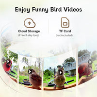 HKM-433875 Smart Bird Feeder with Camera, 1.5L Capacity, AI Identification & Real-Time Notifications for Birdwatching