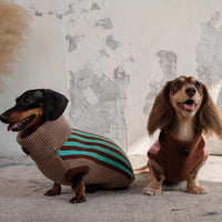 HKM-434323 Sleeveless Winter Warm Sweater Vest for Dogs in Pink or Lake Blue Stripes