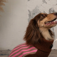 HKM-434323 Sleeveless Winter Warm Sweater Vest for Dogs in Pink or Lake Blue Stripes