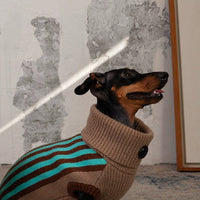 HKM-434323 Sleeveless Winter Warm Sweater Vest for Dogs in Pink or Lake Blue Stripes