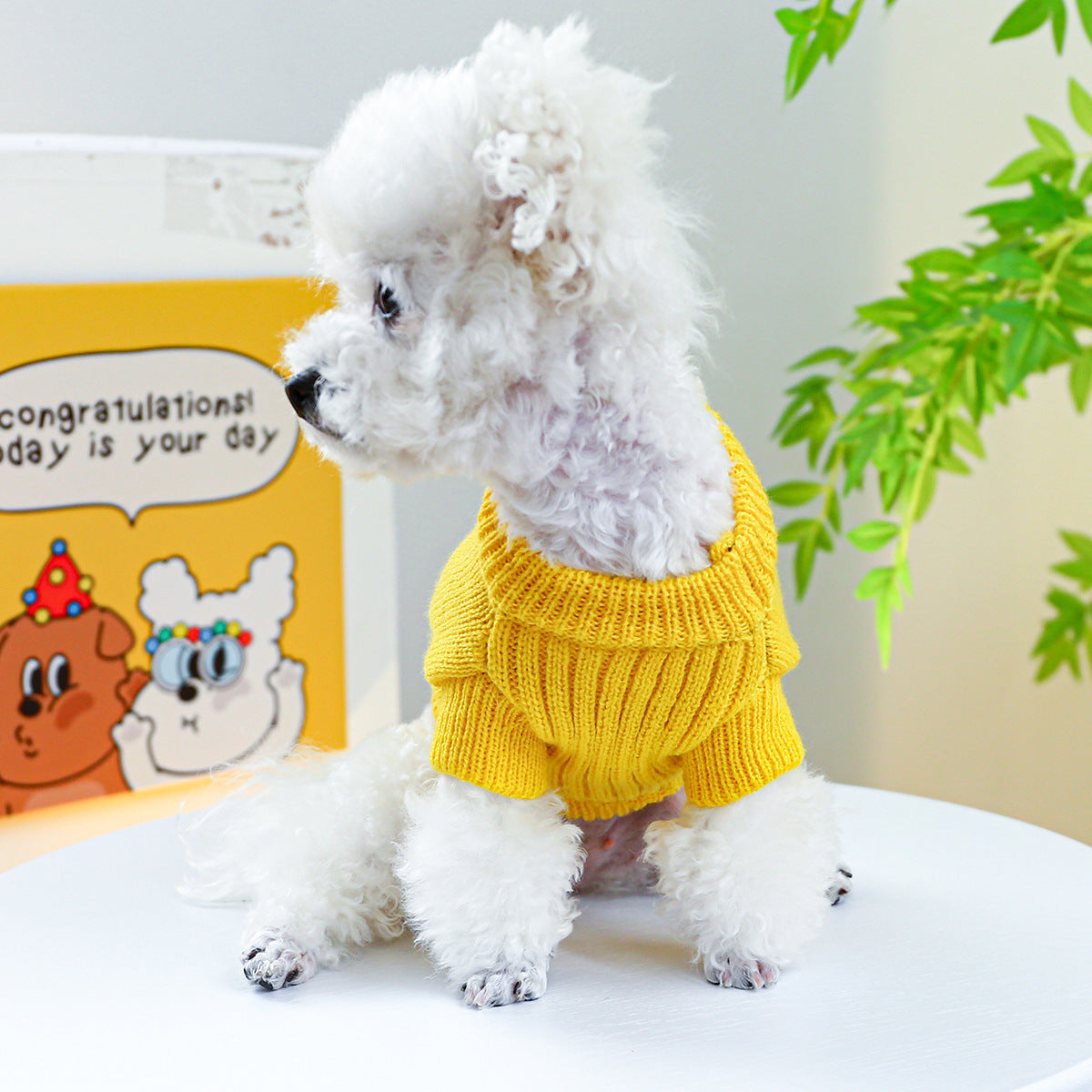 HKM-434643 Dinosaur Sweater for Dogs in Green and Yellow – Warm and Comfortable Pet Clothing
