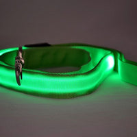HKM-434835 LED Luminous Nylon Dog Leash with Colorful Lights - 2.5cm Width, 120cm Length