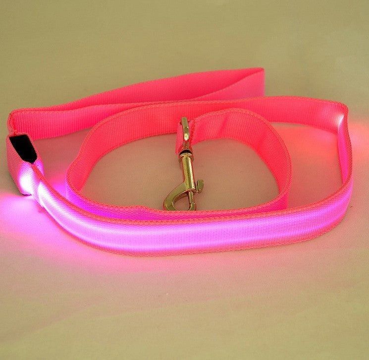 HKM-434835 LED Luminous Nylon Dog Leash with Colorful Lights - 2.5cm Width, 120cm Length