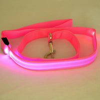 HKM-434835 LED Luminous Nylon Dog Leash with Colorful Lights - 2.5cm Width, 120cm Length
