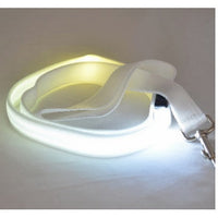 HKM-434835 LED Luminous Nylon Dog Leash with Colorful Lights - 2.5cm Width, 120cm Length