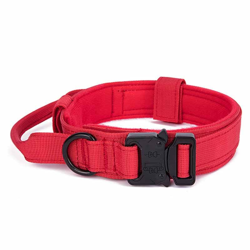 HKM-436691 Simple Solid Color Outdoor Traction Pet Collar