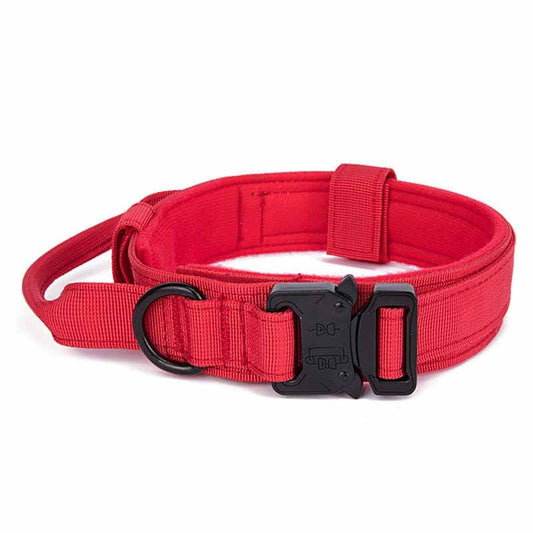 HKM-436691 Simple Solid Color Outdoor Traction Pet Collar