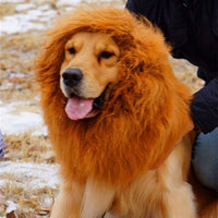 HKM-439443 Lion Mane Costume for Large Dogs - Fits Golden Retrievers and Similar Breeds (Head Circumference up to 74cm)
