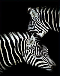 HKM-440275 Digital Zebra Oil Painting DIY Kit - Color Art Canvas for Adults (40x50, 50x65, 60x75)
