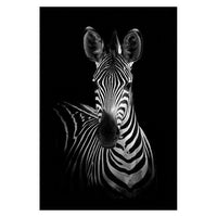 HKM-440275 Digital Zebra Oil Painting DIY Kit - Color Art Canvas for Adults (40x50, 50x65, 60x75)