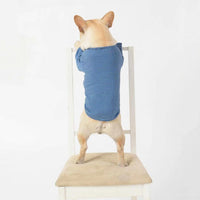 HKM-441235 Casual Cotton Pet Shirt for Dogs and Puppies in Orange, Blue, and Black